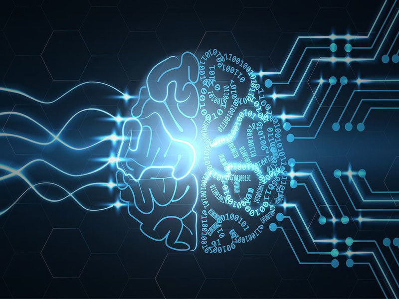 cervello metà connessioni e metà codici binari